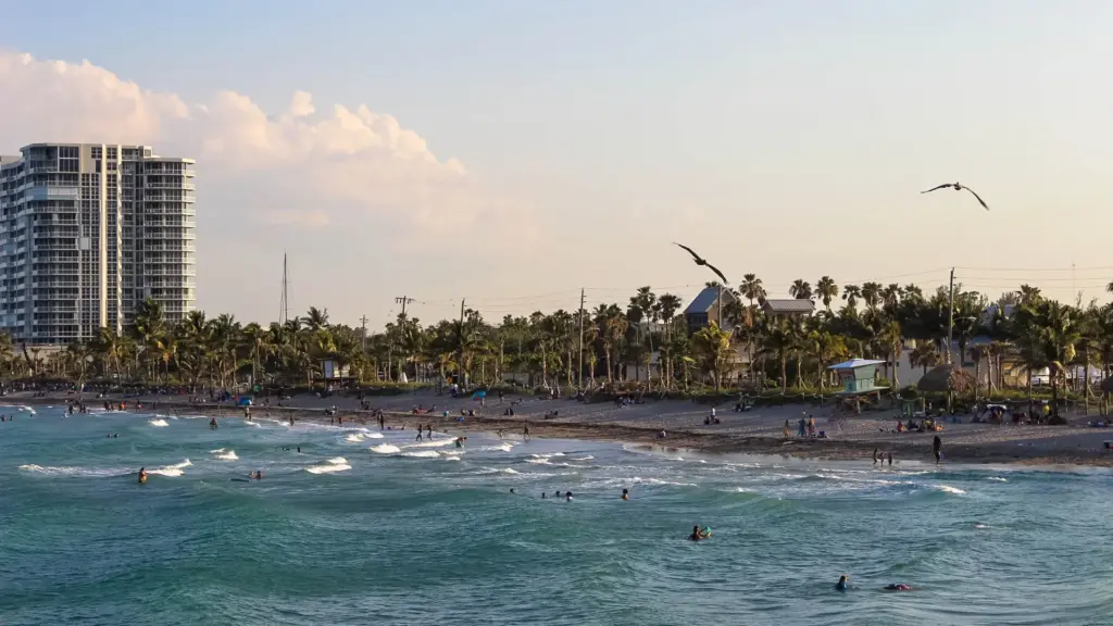 Dania Beach, FL